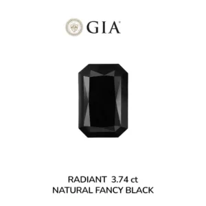 3.74 Carat Radiant Fancy Black VVS2 Natural Diamond