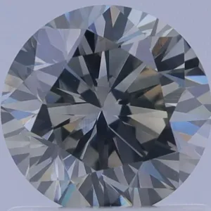 1.01 Carat Round Light Gray SI2 Natural Diamond