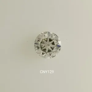 1.01 Carat Round Fancy Light Gray SI2 Natural Diamond
