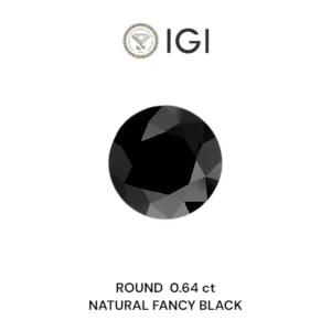0.64 Carat Round Fancy Black Natural Diamond