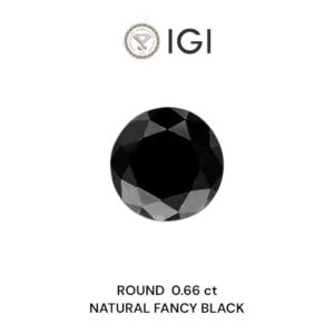 0.66 Carat Round Fancy Black Natural Diamond
