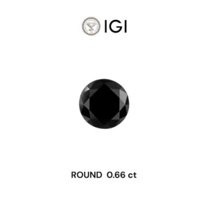 0.66 Carat Round Fancy Black Natural Diamond