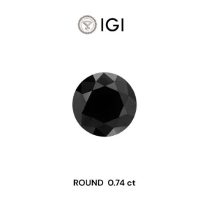 0.74 Carat Round Black Natural Diamond