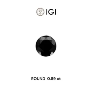 0.89 Carat Round Fancy Black Natural Diamond