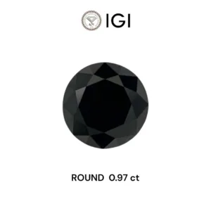 0.97 Carat Round Black Natural Diamond