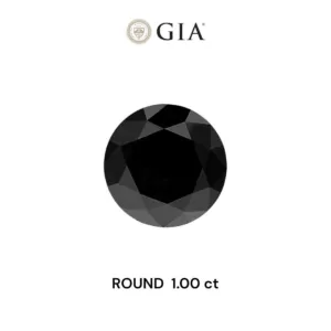 1 Carat Round Fancy Black VVS2 Natural Diamond
