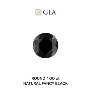 1 Carat Round Fancy Black VVS2 Natural Diamond