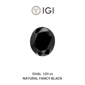 1.01 Carat Oval Fancy Black Natural Diamond