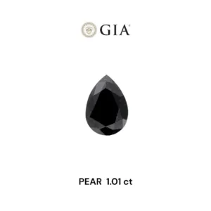 1.01 Carat Pear Fancy Black VVS2 Natural Diamond
