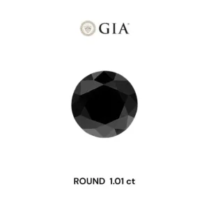 1.01 Carat Round Fancy Black VVS2 Natural Diamond