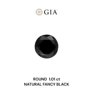 1.01 Carat Round Fancy Black VVS2 Natural Diamond