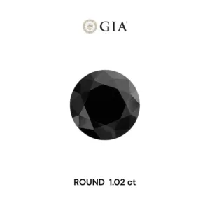 1.02 Carat Round Fancy Black VVS2 Natural Diamond