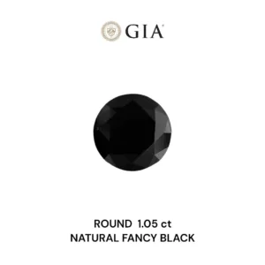 1.05 Carat Round Fancy Black VVS2 Natural Diamond