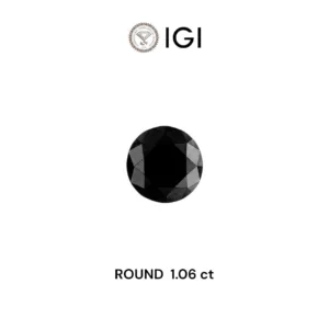 1.06 Carat Round Fancy Black Natural Diamond