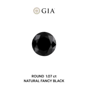 1.07 Carat Round Fancy Black VVS2 Natural Diamond