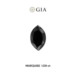 1.09 Carat Marquise Fancy Black VVS2 Natural Diamond
