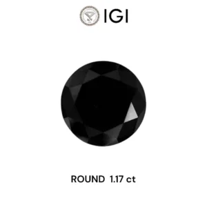 1.17 Carat Round Black Natural Diamond