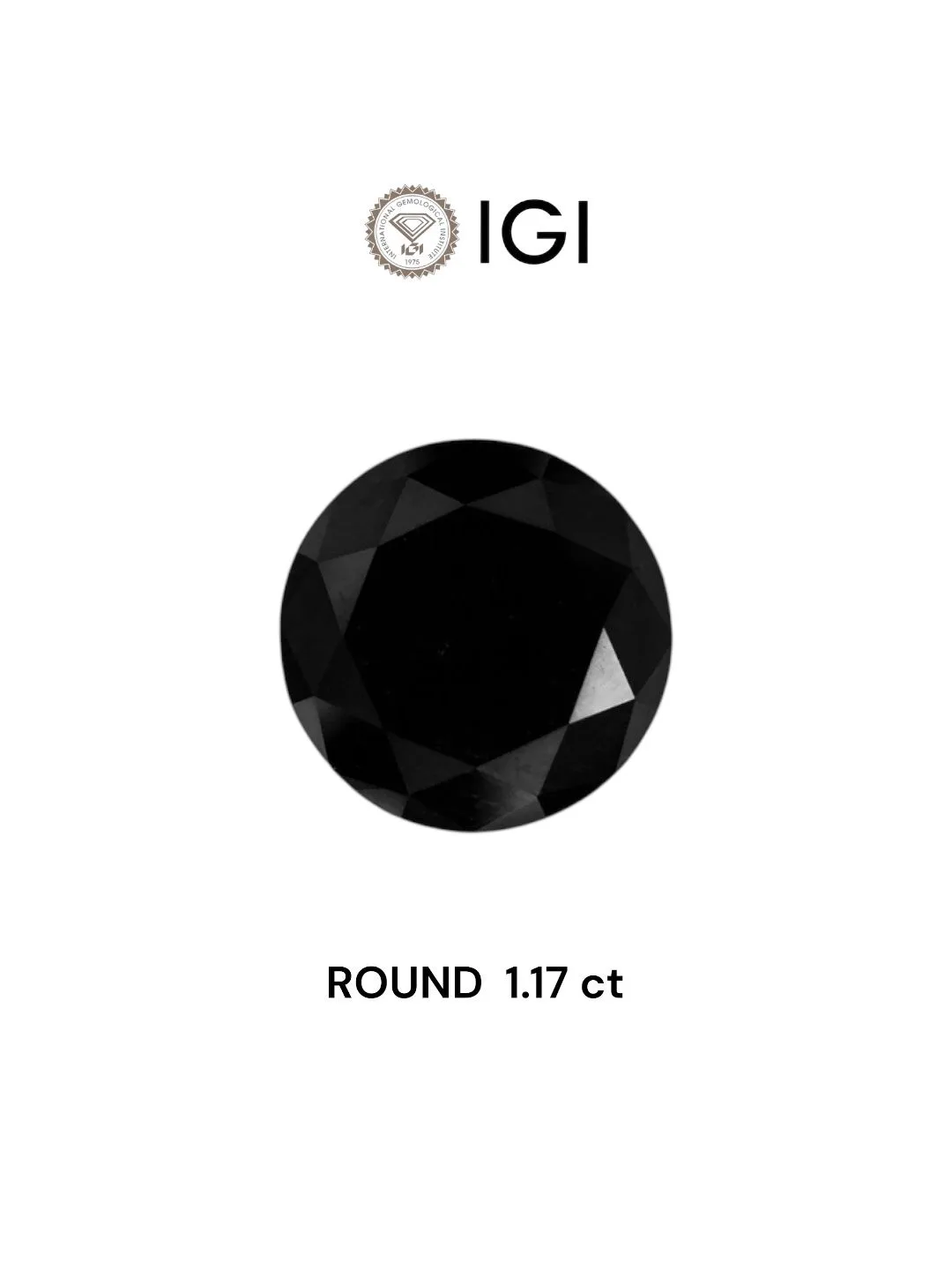 1.17 Carat Round Black Natural Diamond 1 1.17 Carat Round Black Natural Diamond