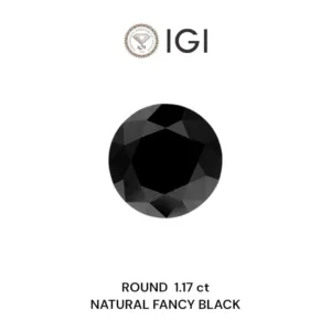 1.17 Carat Round Fancy Black Natural Diamond