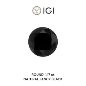 1.17 Carat Round Fancy Black Natural Diamond