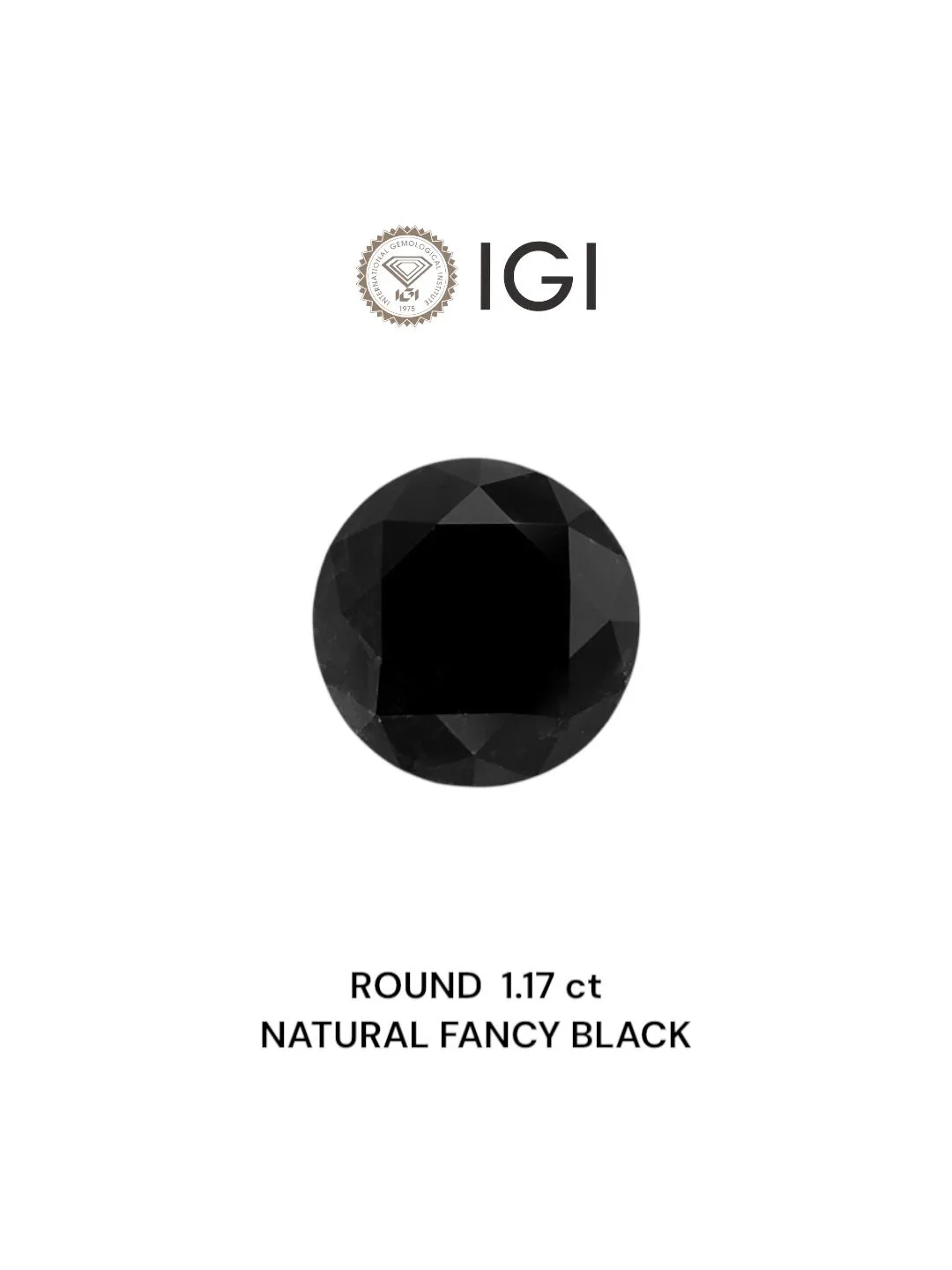 1.17 Carat Round Fancy Black Natural Diamond 1 1.17 Carat Round Fancy Black Natural Diamond