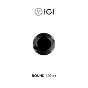 1.19 Carat Round Fancy Black Natural Diamond