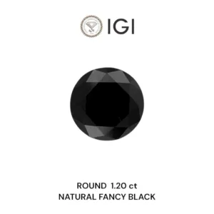 1.2 Carat Round Fancy Black Natural Diamond