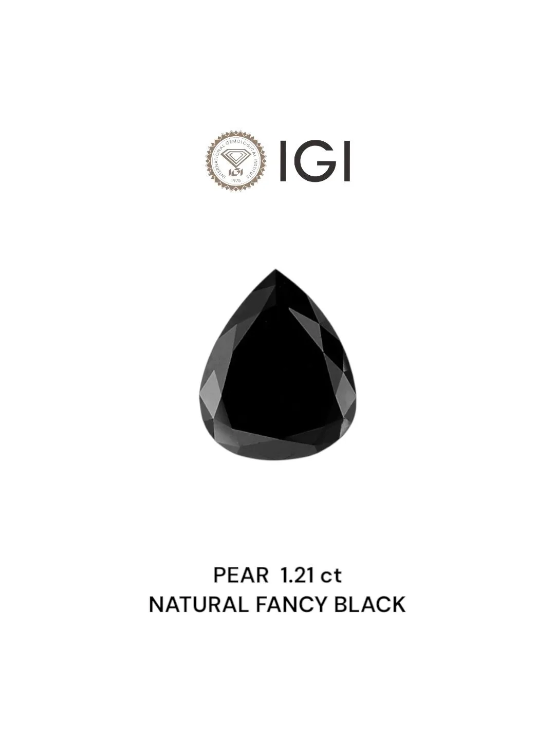 1.21 Carat Pear Fancy Black Natural Diamond 1 1.21 Carat Pear Fancy Black Natural Diamond