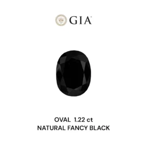 1.22 Carat Oval Fancy Black VVS2 Natural Diamond