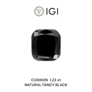 1.23 Carat Cushion Modified Fancy Black Natural Diamond