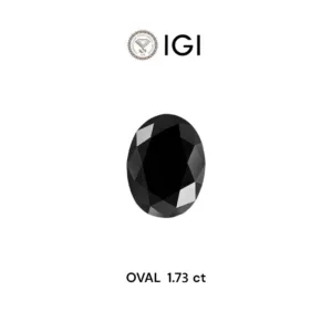1.73 Carat Oval Black Natural Diamond