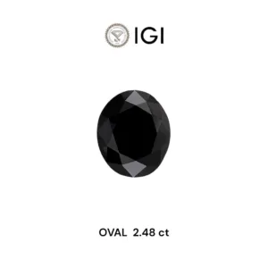 2.48 Carat Oval Fancy Black Natural Diamond