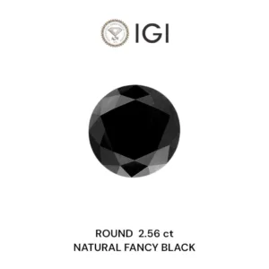 2.56 Carat Round Fancy Black Natural Diamond