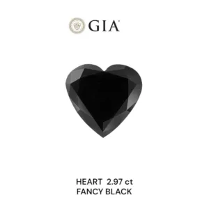 2.97 Carat Heart Black Natural Diamond