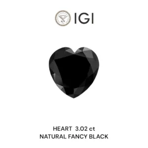3.02 Carat Heart Fancy Black Natural Diamond