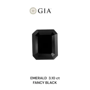 3.1 Carat Emerald Black Natural Diamond