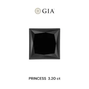 3.19 Carat Princess Black Natural Diamond