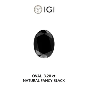 3.28 Carat Oval Fancy Black Natural Diamond