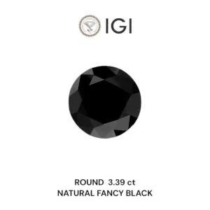 3.39 Carat Round Fancy Black Natural Diamond