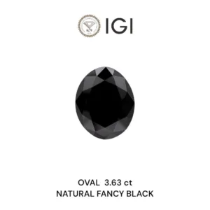 3.63 Carat Oval Fancy Black Natural Diamond