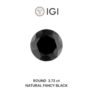 3.73 Carat Round Fancy Black Natural Diamond