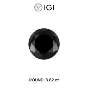3.82 Carat Round Fancy Black Natural Diamond