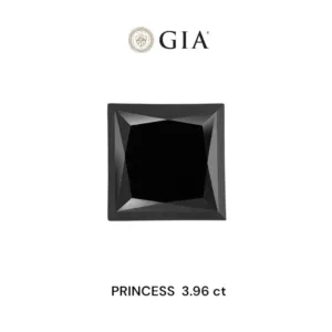 3.96 Carat Princess Black Natural Diamond