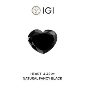 4.42 Carat Heart Fancy Black Natural Diamond