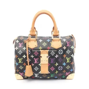 Limited Collaboration Louis Vuitton × Takashi Murakami Monogram Multicolor Speedy 30 Black