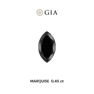 0.45 Carat Marquise Fancy Black VVS2 Natural Diamond