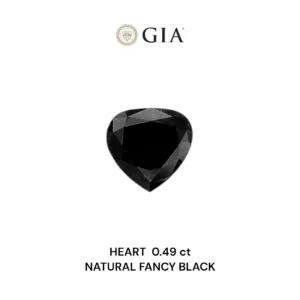 0.49 Carat Heart Fancy Black VVS2 Natural Diamond