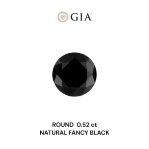 0.52 Carat Round Fancy Black VVS2 Natural Diamond