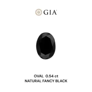 0.54 Carat Oval Fancy Black VVS2 Natural Diamond