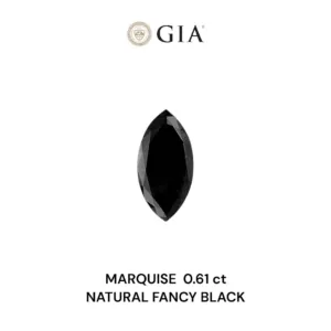 0.61 Carat Marquise Fancy Black VVS2 Natural Diamond